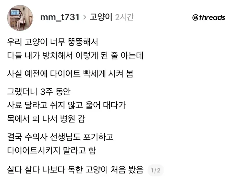 독한 고양이 (2/3)