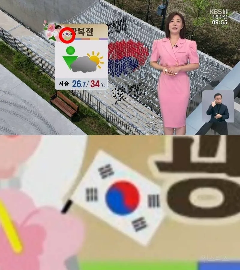 🫪심각한 수준을 넘어 기괴한 수준인 태극기 사태 (6/12)