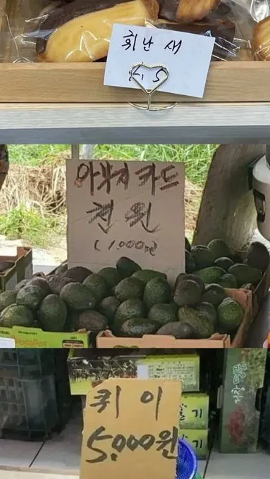수도공사 했는 (4/19)