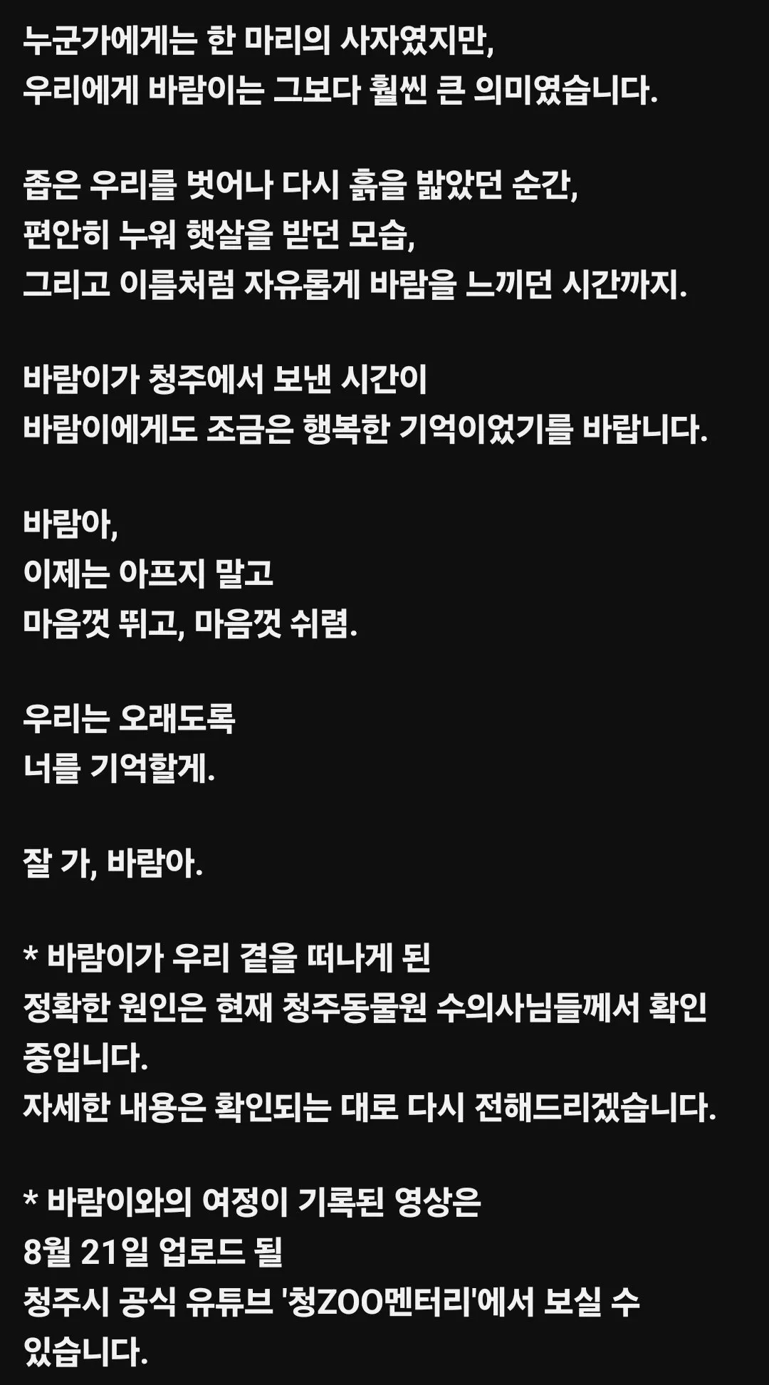 갈비사자 바람이가 오늘 세상을 떠남ㅠㅠ (2/4)