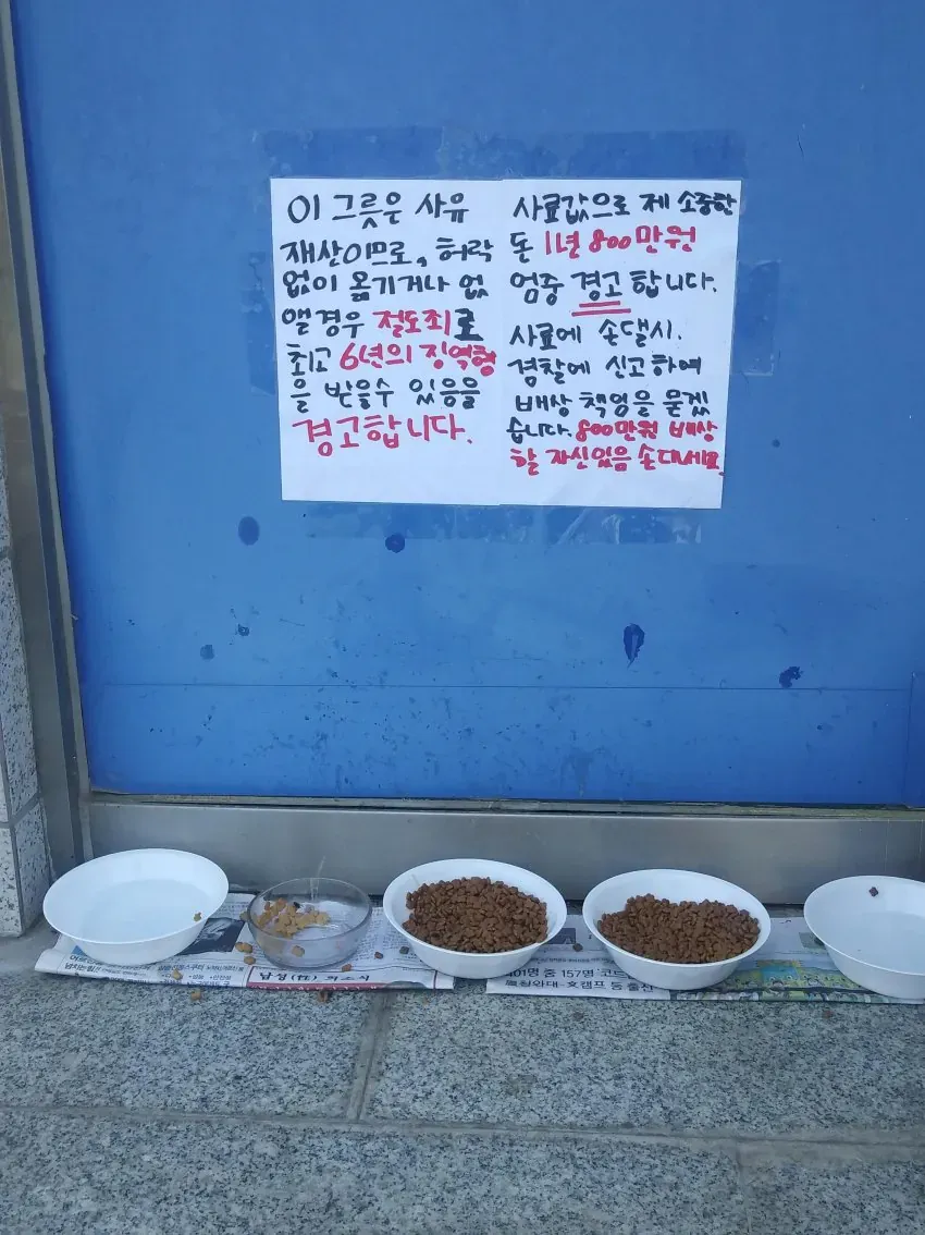 캣맘에게 잘못걸린 디시인 (1/3)