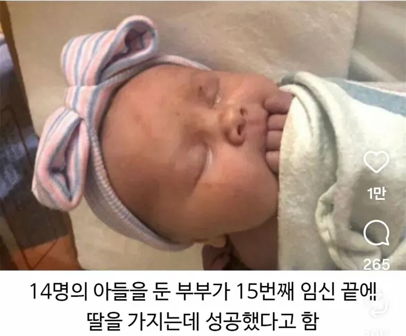 14전 15기 (2/4)