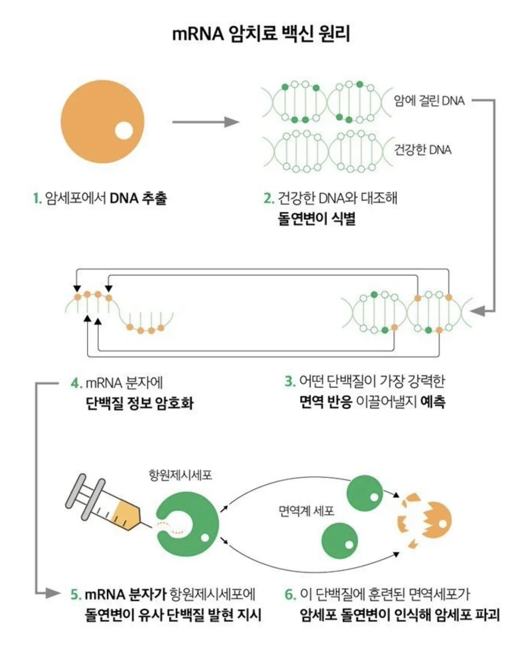 주가 폭발한 모더나의 암백신이 특별한 이유 (6/7)