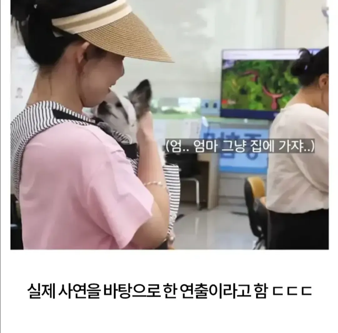 구청 악성민원 근황.jpg (6/6)