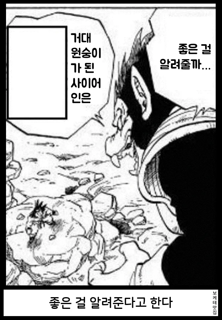 NEW 일본의 제목학원 보케테 모음 81 (12/20)