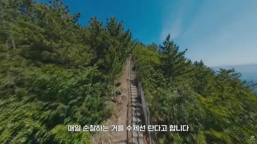 국방부와 맥도날드가 준비한 비밀작전 (10/17)
