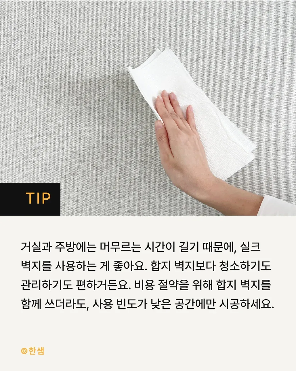 많이 대중화 되었다는 벽지 (7/8)