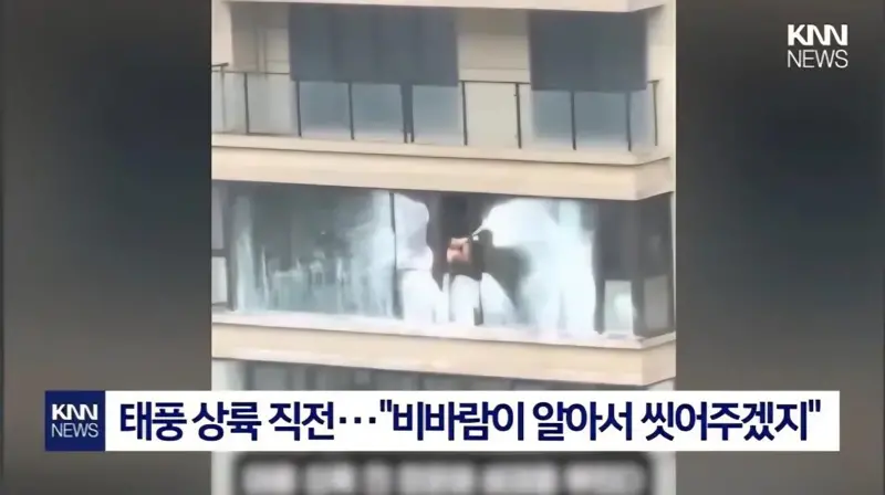 태풍이 창문 닦아줄거라 믿었던 청년의 결말 (3/6)