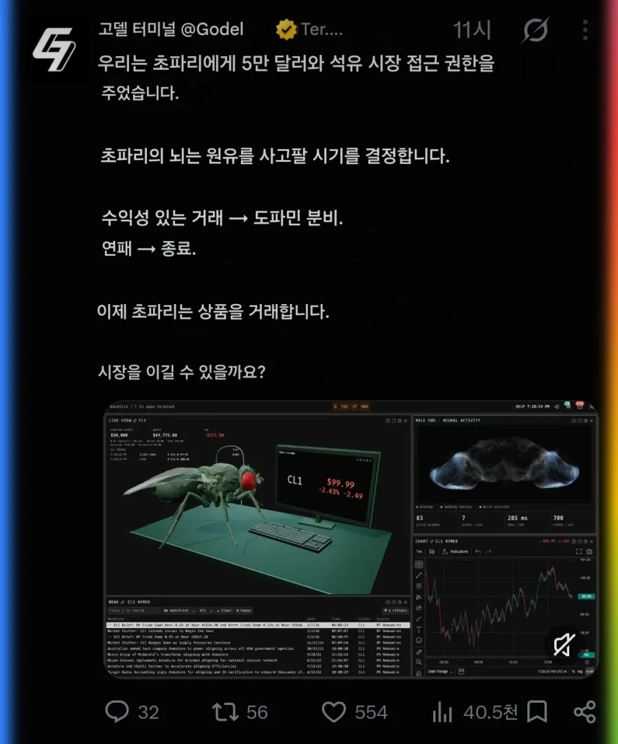 초파리 근황 (6/6)