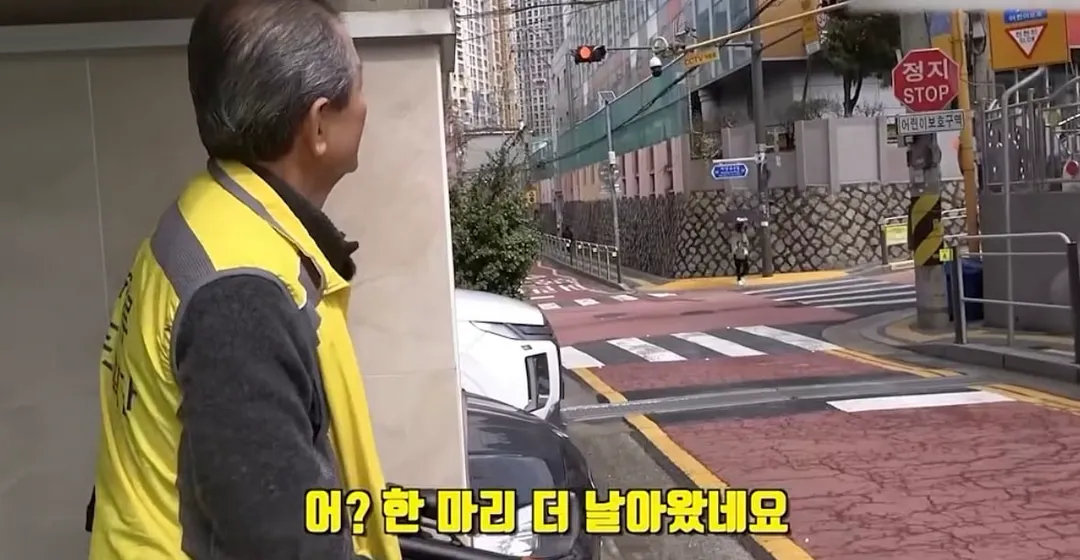 전기줄 위의 새를 잡는 저격수 (4/20)