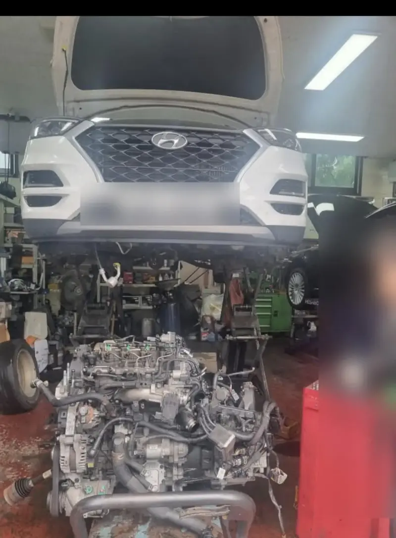남산터널 웨딩 촬영 근황의 근황 (2/3)