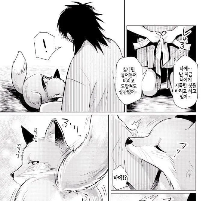 덫에 걸린 여우를 구해주는 만화.manhwa (3/3)