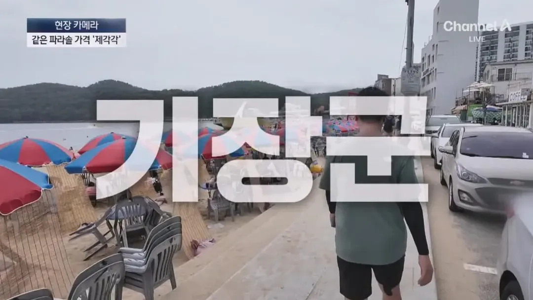 피서지 파라솔 바가지 요금을 취재하러간 채널A (2/20)