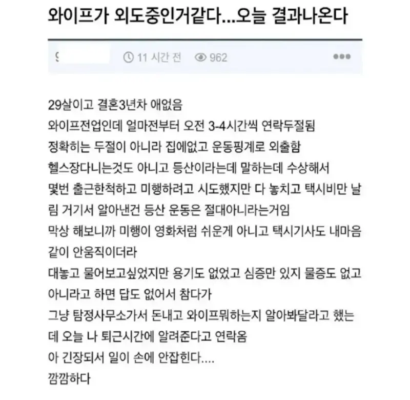 와이프가 외도하는 것 같다 (1/2)