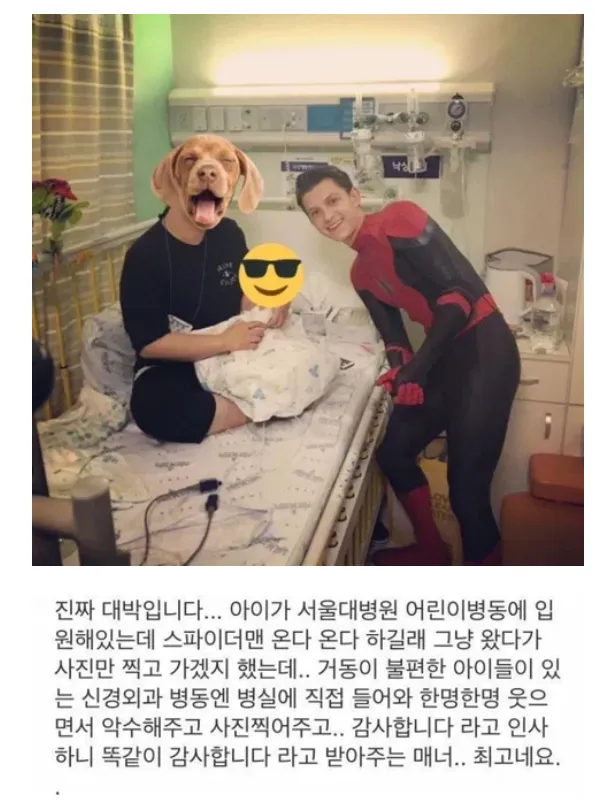 톰홀랜드 2019년 내한했을때 소아병동 갔던거 아는사람 (7/7)
