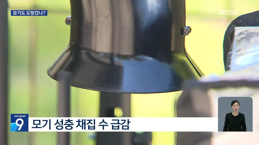 모기도 못버틴 폭염, 개체수 1/3 급감 (3/8)