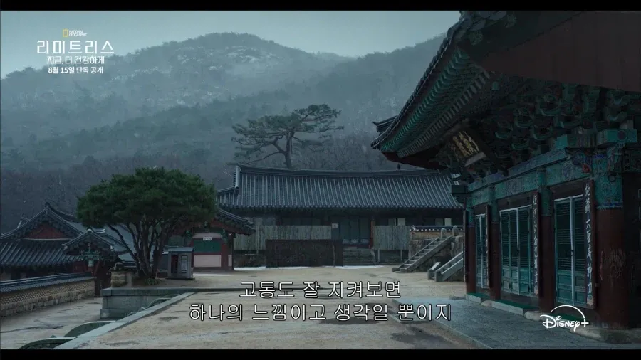 디즈니가 생각하는 한국 불교의 모습 (7/12)