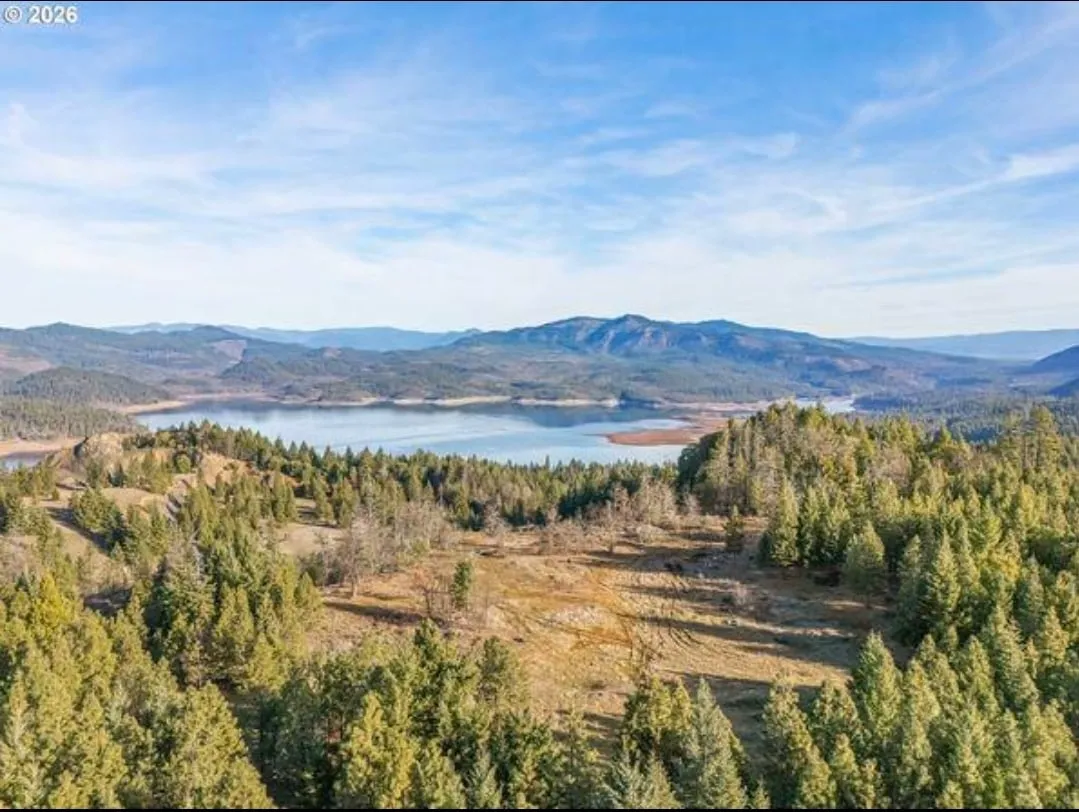 빗물 받아서 쓰다 감옥간 남자 (4/5)