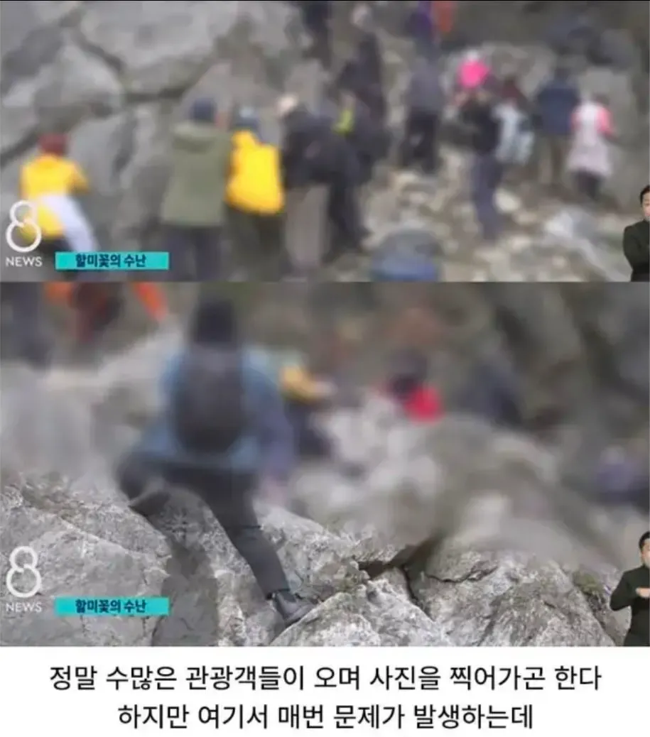 관광지에서 자주 보인다는 싸이코패스 (3/5)
