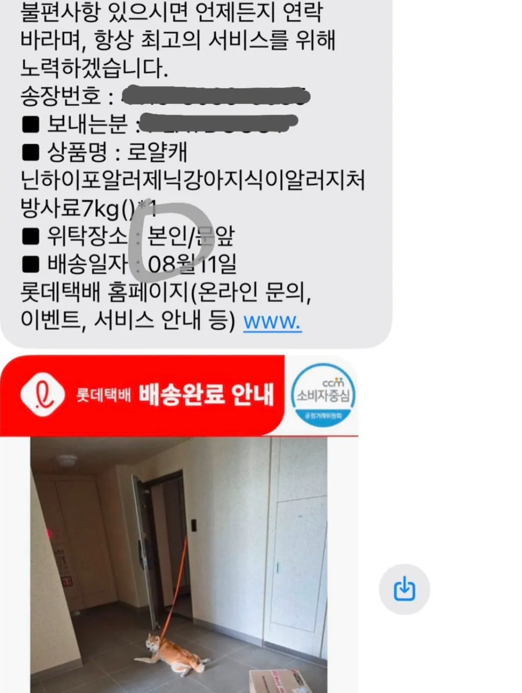강아지 밥을 주문했는데 진짜로 강아지한테 배송해주고 가심 (2/3)