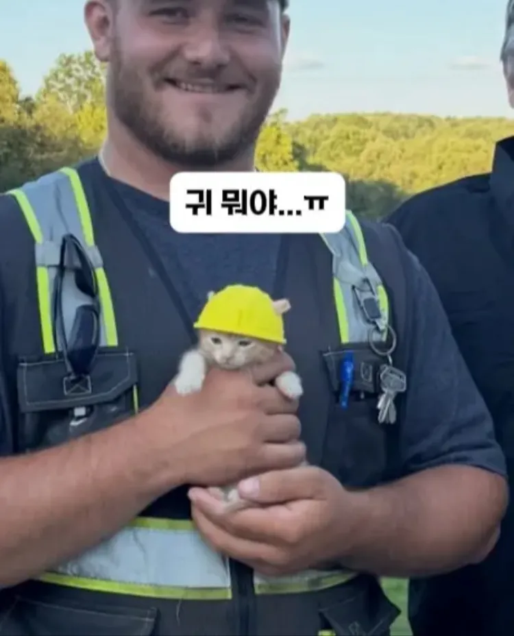 팀원이 된 고영이.jpg (6/7)