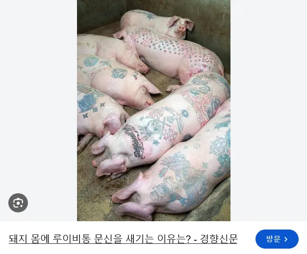 돼지고기 샀는데, 돼지에 문신 하는데 있나?.jpg (2/2)