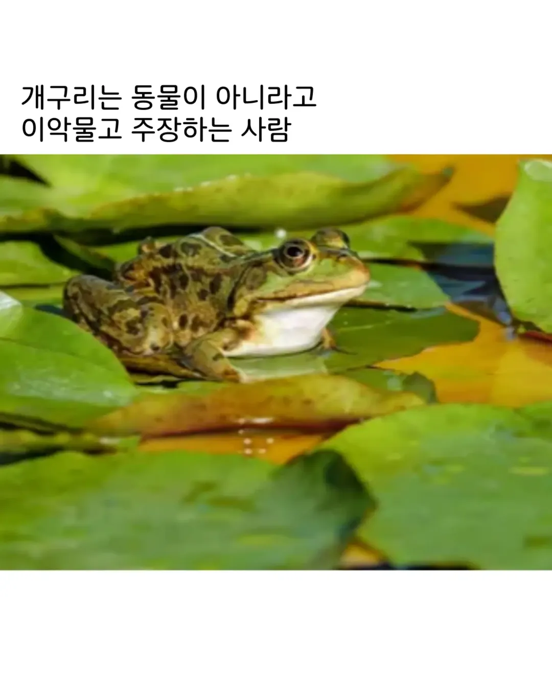 책 백만 권 읽은 사람보다 한 권 읽은 사람이 무서운 이유 (1/6)