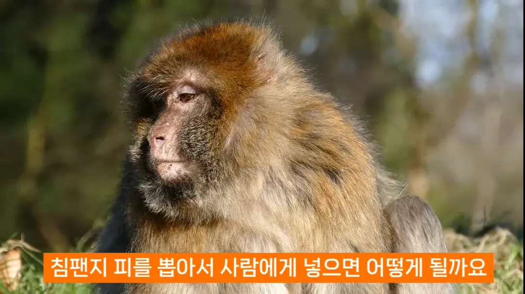 진화론을 믿지 않는 박진영 (3/14)