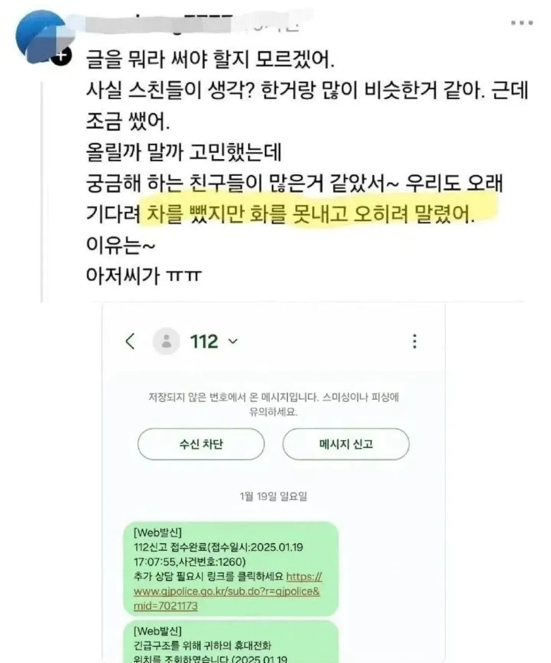 불법 주정차 위반한 싼타페 최후 (3/6)