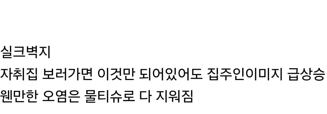 많이 대중화 되었다는 벽지 (8/8)
