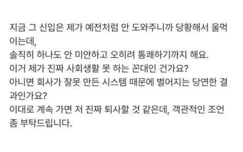 나보다 연봉높은신입 이제 안가르치기로 했는데 제가 너무한건가요? (4/4)