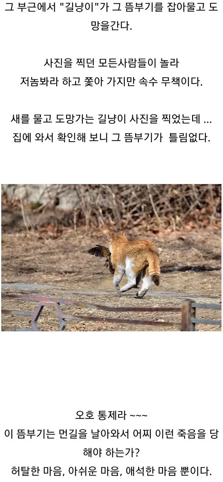 조류 동호회 회원들이 망연자실한 이유.jpg (3/3)