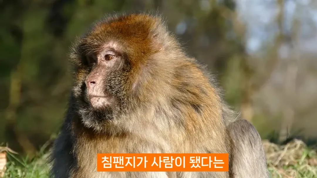 진화론을 믿지 않는 박진영 (1/14)