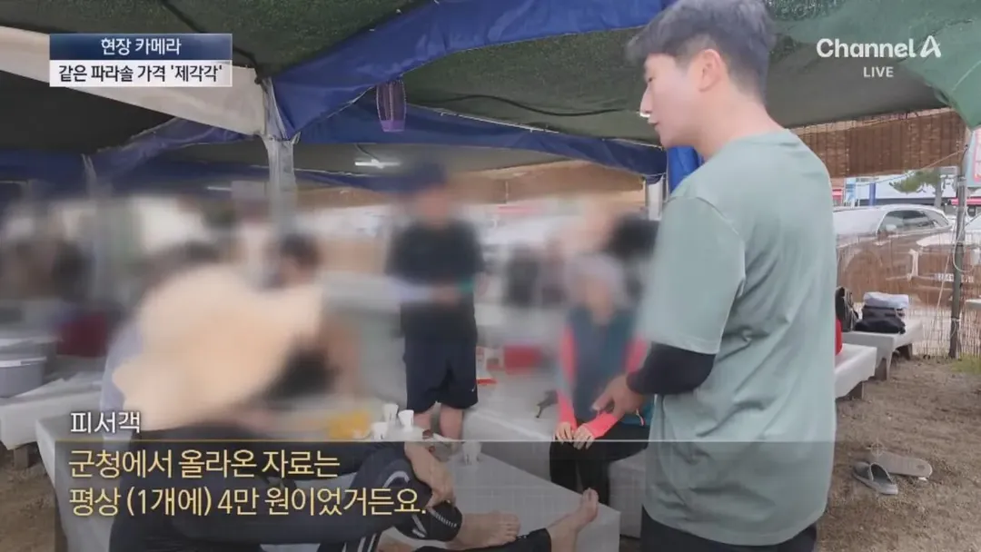 피서지 파라솔 바가지 요금을 취재하러간 채널A (13/20)