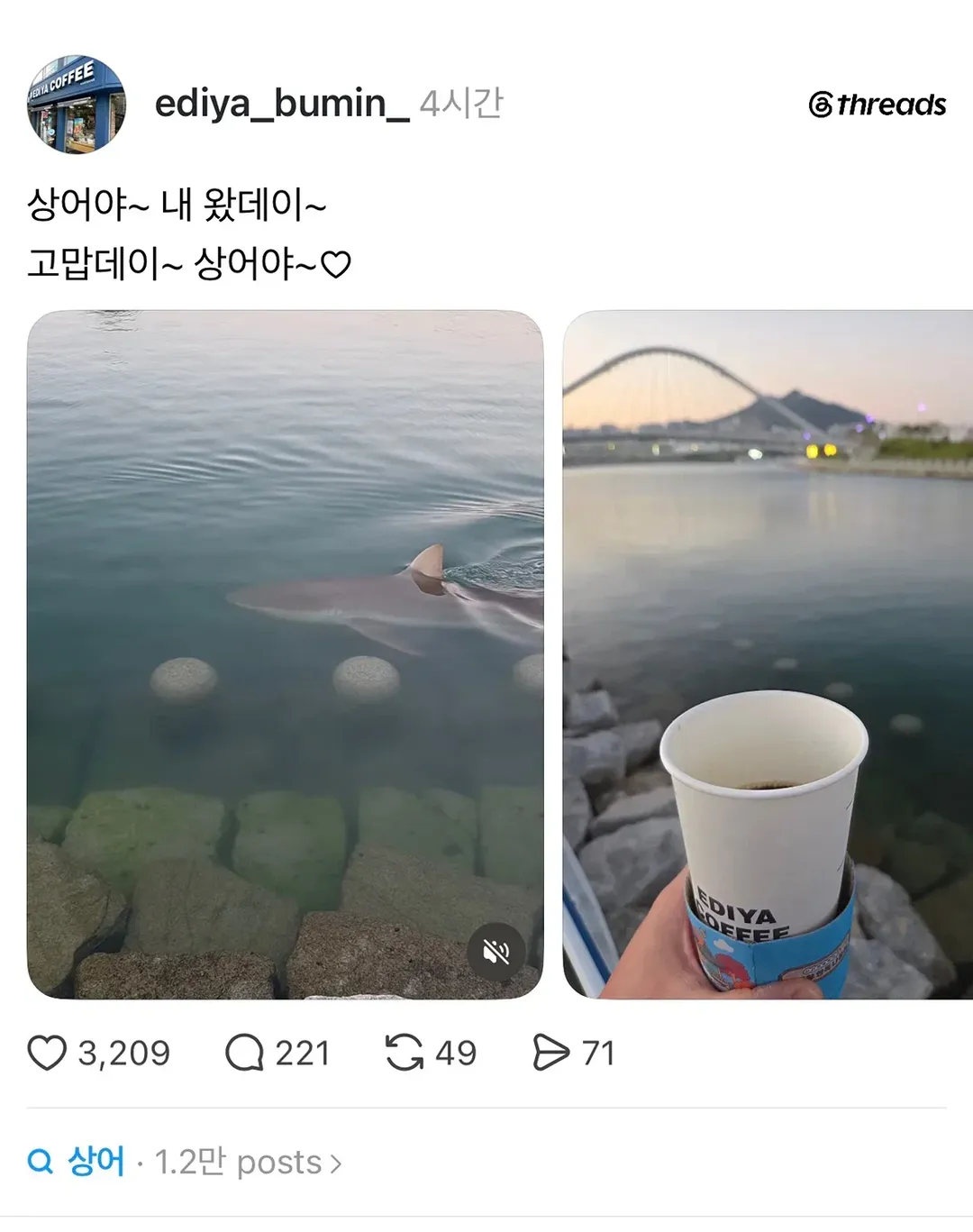 부산 상어 부캉이 사태에 하나둘씩 노젓기 시작하는 업체(?들 (2/13)