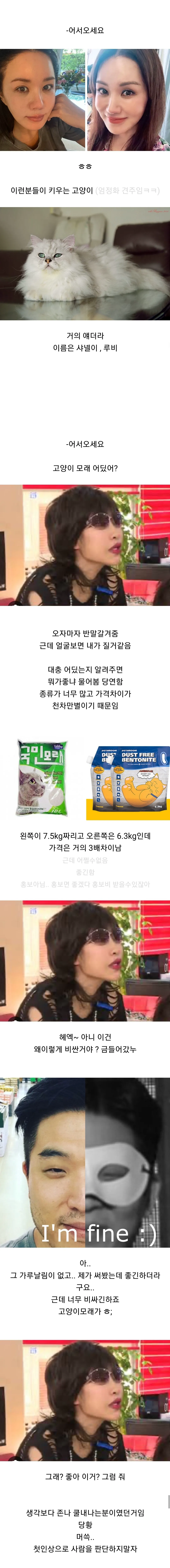 고양이 용품샵에서 일하는 직원이 말하는 손님들 관상 (2/4)