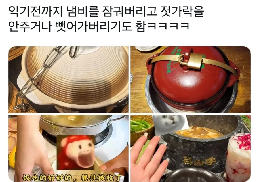 덜 익었을때 먹으면 큰일난다는 버섯 🍄‍🟫 (3/4)