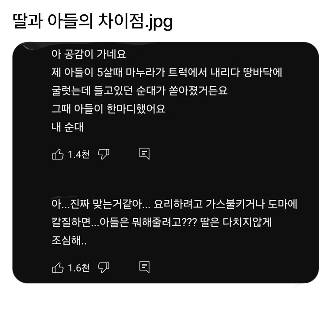 딸과 아들의 차이점.jpg (2/4)