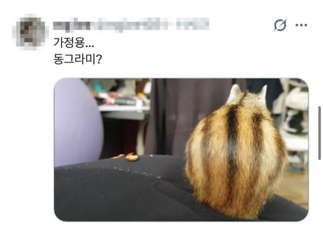요즘 반려동물을 "가정용OO"이라고 부르는게 유행이래 (2/5)