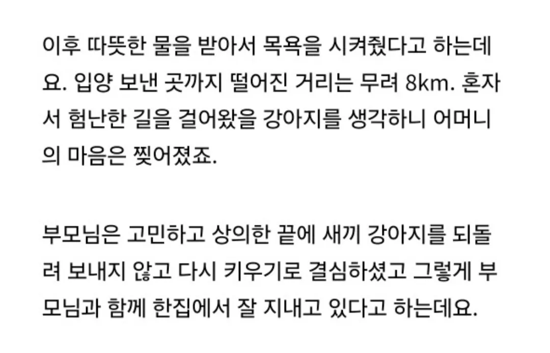 다른 집에 분양 보냈던 강아지가 집까지 찾아왔네요ㅜㅜ (6/6)