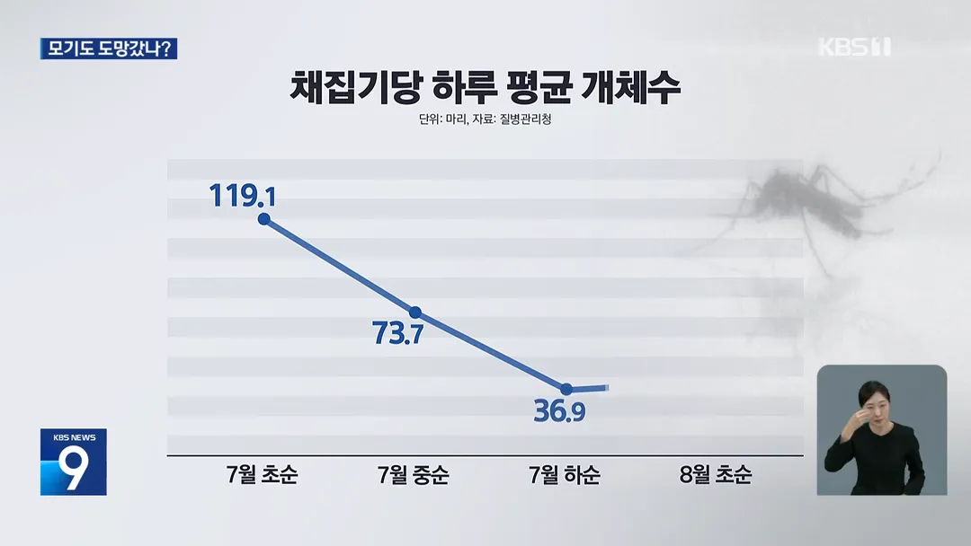 모기도 못버틴 폭염, 개체수 1/3 급감 (4/8)