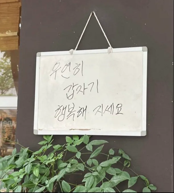 강아지한테 어디 아프냐고 물어보면.jpg (11/20)