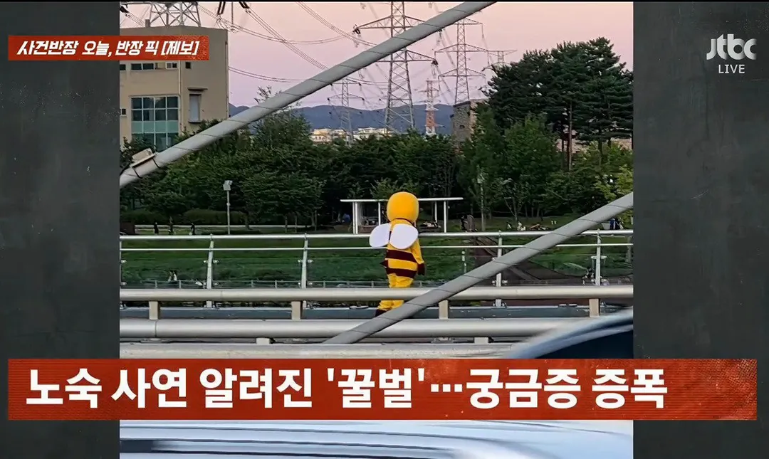 사건반장에 나온 꿀벌 복장 입는 이유 (영상 올렸어) (4/17)