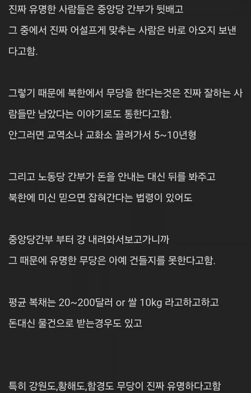 진짜들만 남았다는 북한의 무당썰 (2/2)