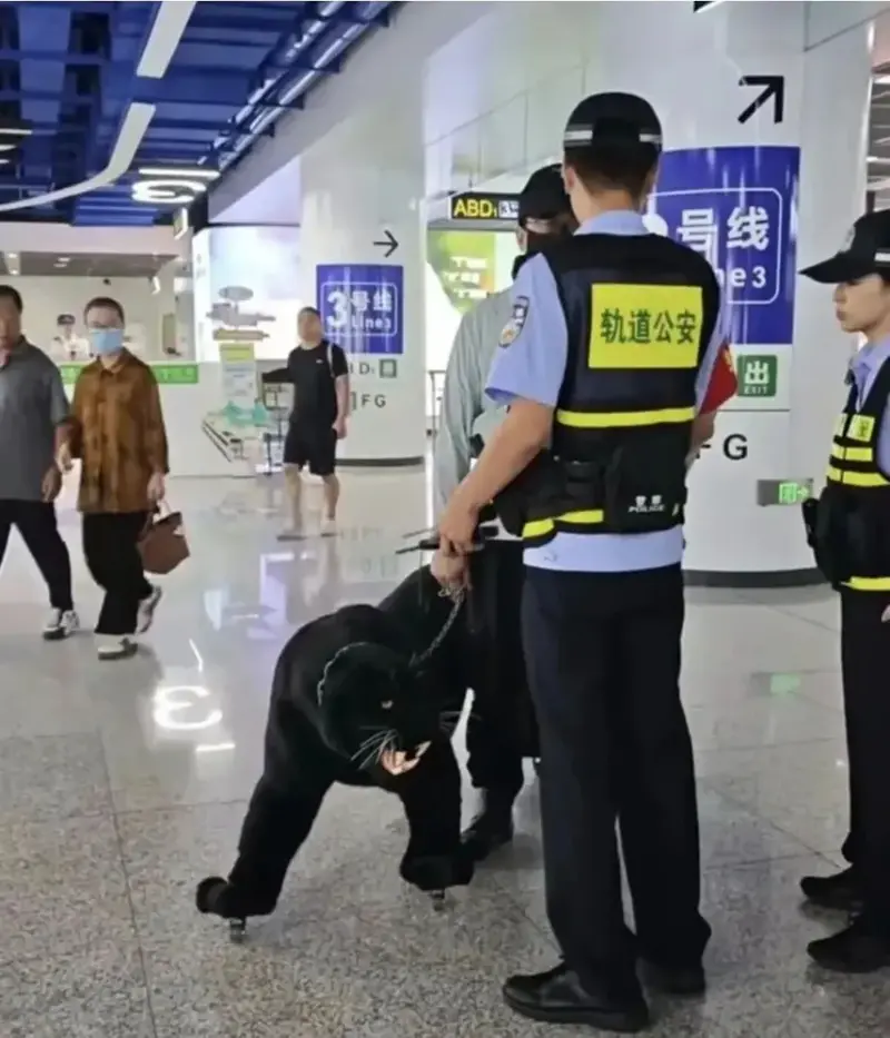 중국에서 신고로 공안 출동시킨 캐리어 외관 ㄷㄷ (2/2)