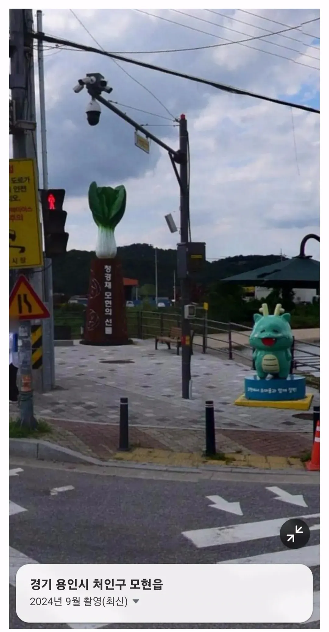 한국에 실존하는 청경채 동상 (1/2)
