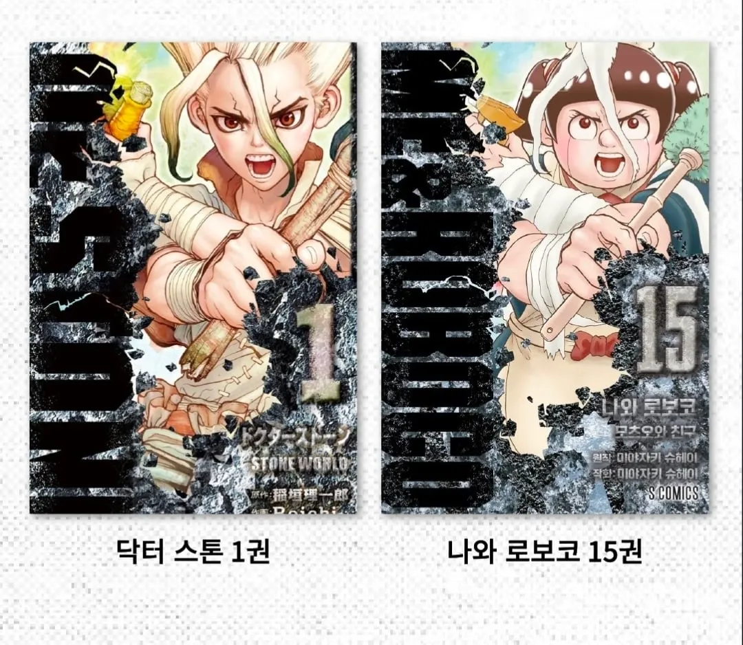 아디서 많이 본거 같은 표지를 쓰는 만화.jpg (9/13)
