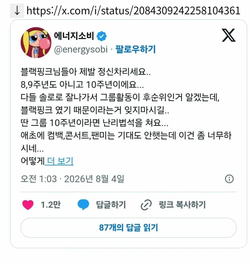 블랙핑크 데뷔 10주년을 앞두고 불만 폭발한 블핑 팬덤 (2/3)