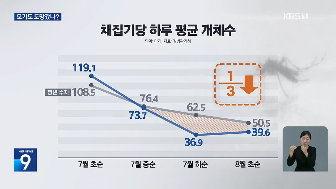 모기도 못버틴 폭염, 개체수 1/3 급감 (5/8)
