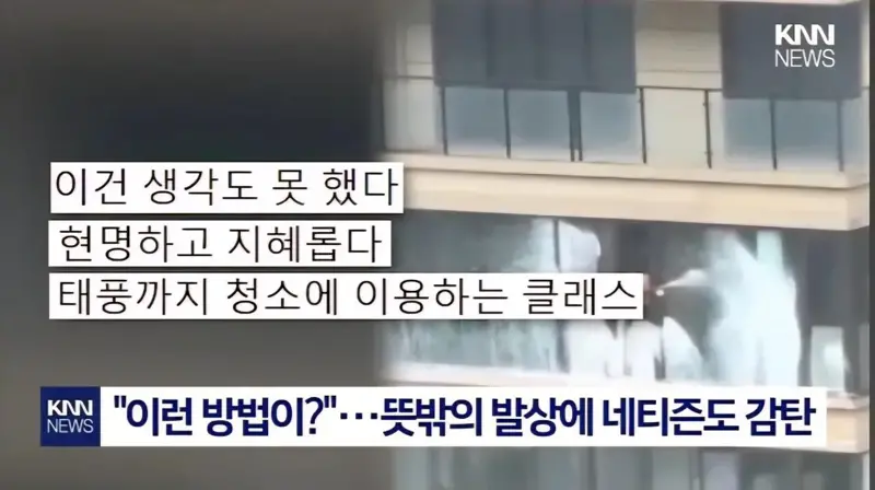 태풍이 창문 닦아줄거라 믿었던 청년의 결말 (4/6)